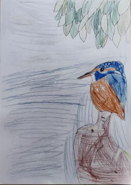 Kingfisher by Ada - Age 9