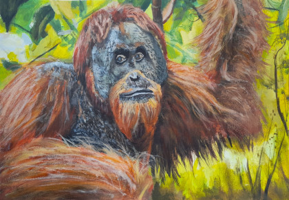 The Endangered Ape by Aidan - Age 16
