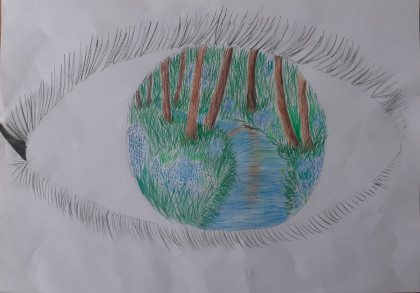 Nature throught an eye by Aine - Age 13