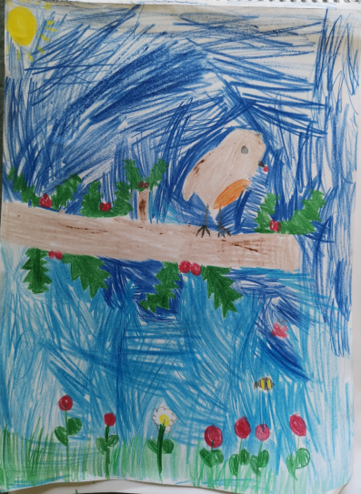 Young robin by Alannah - Age 7