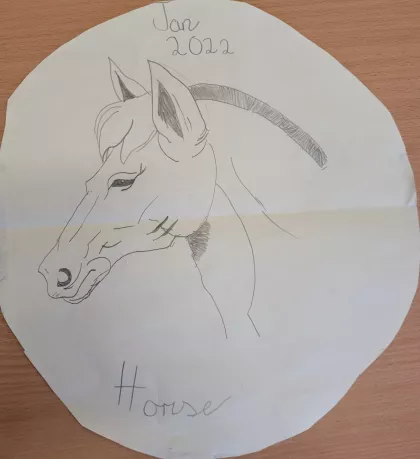 Horse by Andie - Age 11