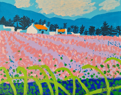 The Pink Meadow by Aoibhinn - Age 10