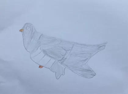 Cuckoo by Aoife - Age 9