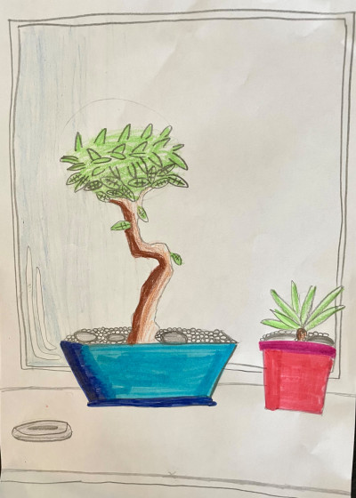 The Tranquil Bonsai by Ben - Age 9