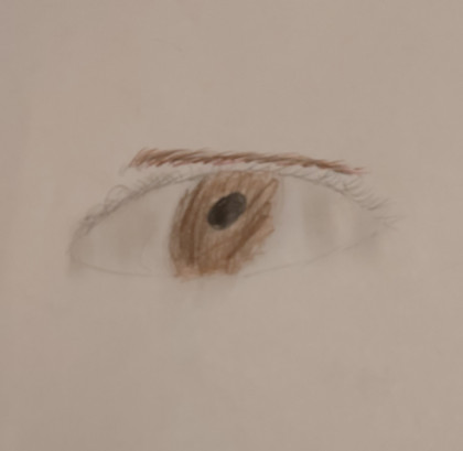 The Eye of the Future by Ciara - Age 11