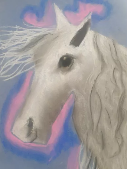 Enchanted horse by Clodagh - Age 9