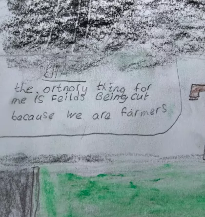 Cutting fields by Ella - Age 8