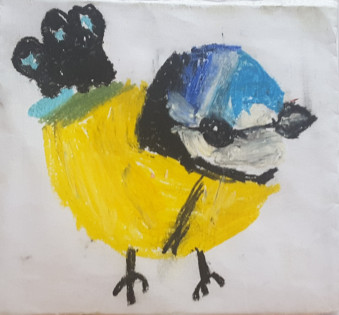 Beautiful Blue Tit by Eve🐶 - Age 10