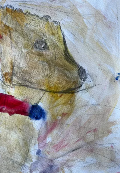 Freddie the dog by Isabelle - Age 10