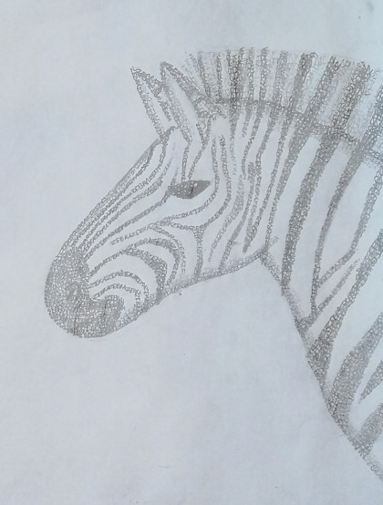 Zebra by Iseult - Age 12