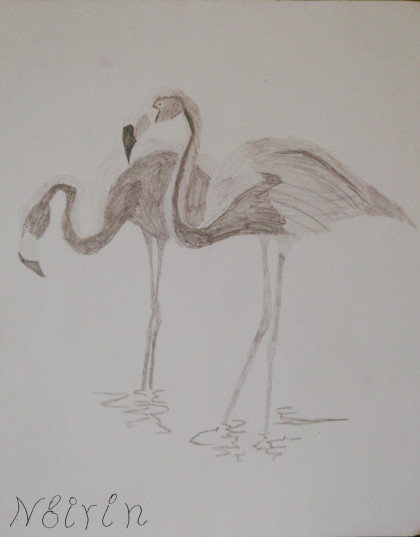 Fabulous flamingoes by Nóirín - Age 10