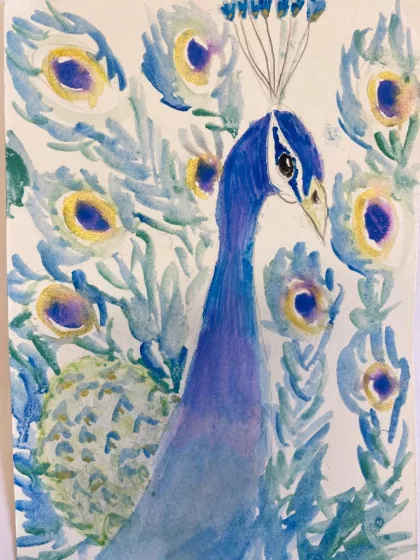The Peacock by Róisín - Age 11